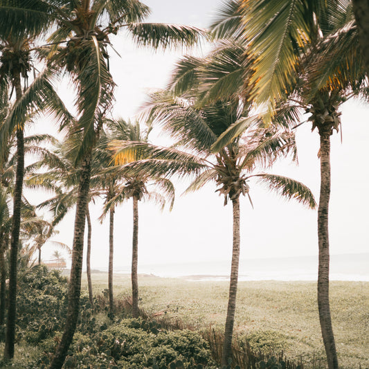 Unlock Winter Elegance with IKAZZ's Lightweight Puffer Jacket