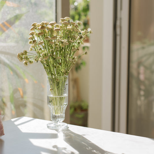 Stay Warm and Stylish with IKAZZ Women's Puffer Jackets