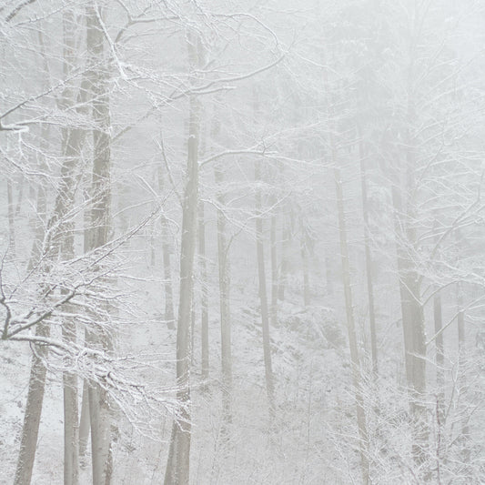 Elevate Your Style with Kian: IKAZZ's Sleek and Versatile Women's Puffer Jacket