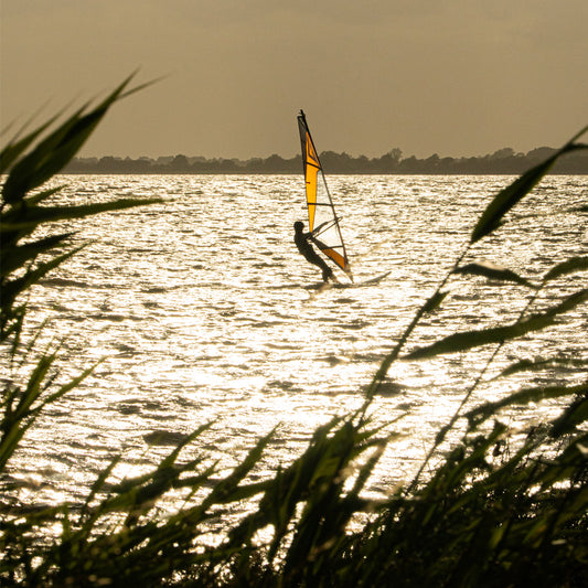 Elevate Your Style with Pamella 2.0: The Perfect Combination of Fashion and Functionality