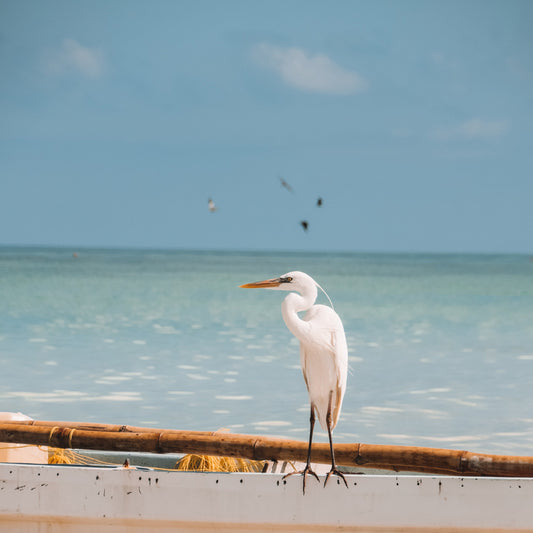 Style and Functionality of IKAZZ Women's Puffer Jacket