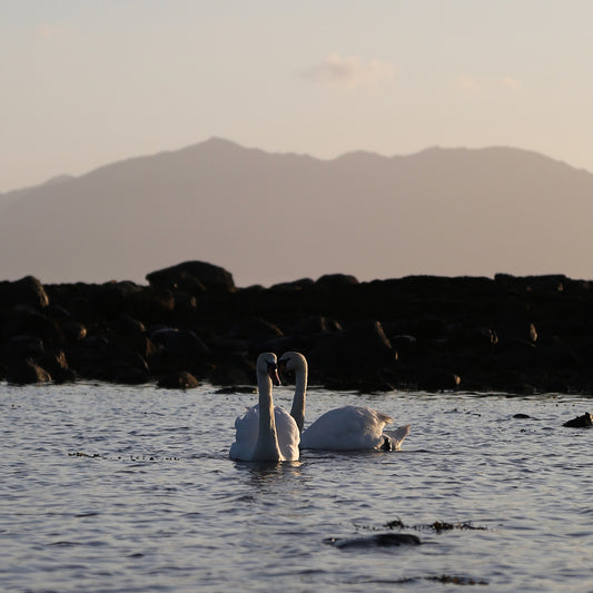 Experience Effortless Style and Functionality with IKAZZ's Long Puffer Coat