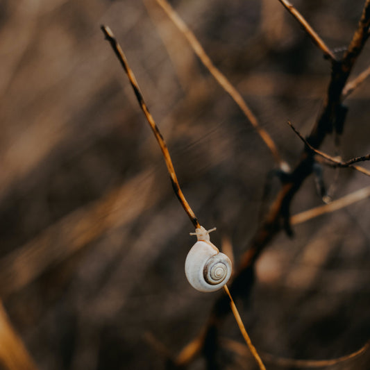 Embrace Warmth with Naya: The Ultimate Black Puffer Jacket for Cold Weather Comfort