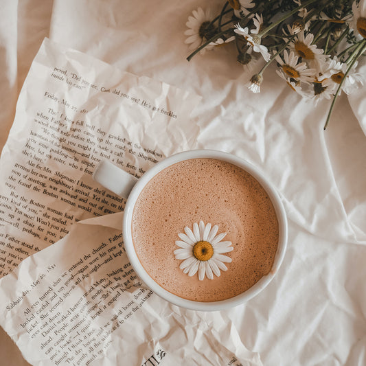 Stay Stylish and Cozy with IKAZZ's Drava Elastic Waist Short Puffer Jacket with Furry Hood