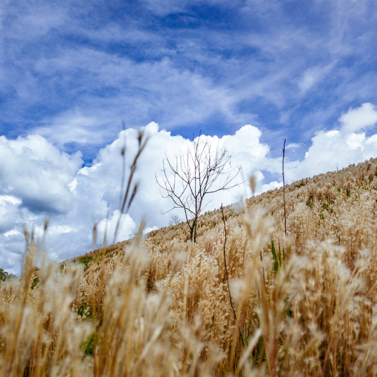 Unveiling Versatility: IKAZZ's Packable Puffer Jacket for Every Occasion