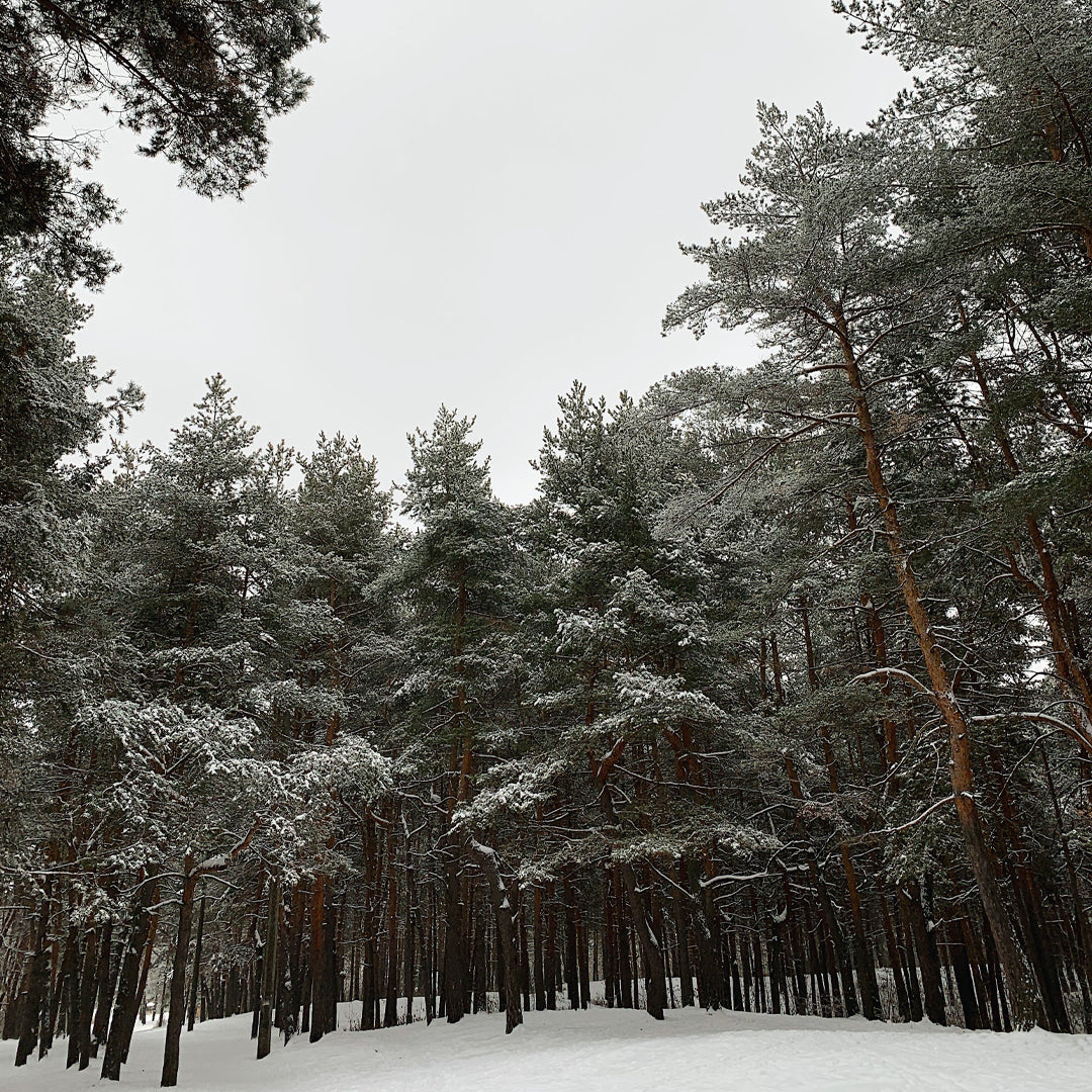 IKAZZ Winter Essentials: Must-Have Womens Belted Coat for Every Fashionista