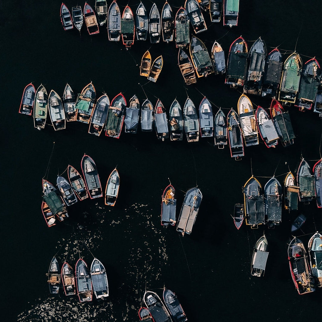 Elevate Your Winter Wardrobe with IKAZZ's Elegant Ladies Jackets and Coats