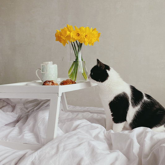 Pamper Your IKAZZ Puffer Jacket with Hood: Effortless Care Tips