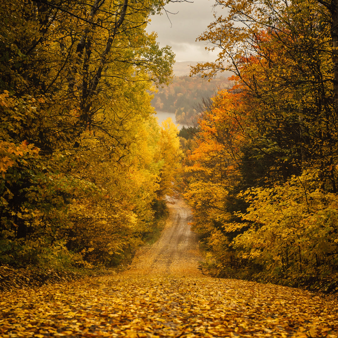 IKAZZ Vegan Puffer Coat: Redefining Style and Functionality