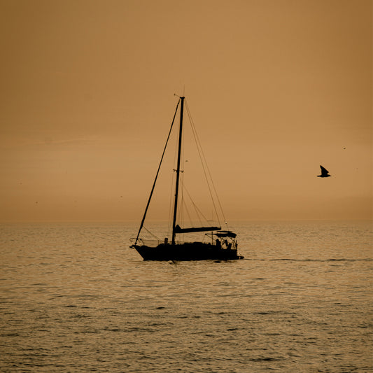 Stay Stylish and Warm with the Versatile IKAZZ Melena Winter Puffer Jacket