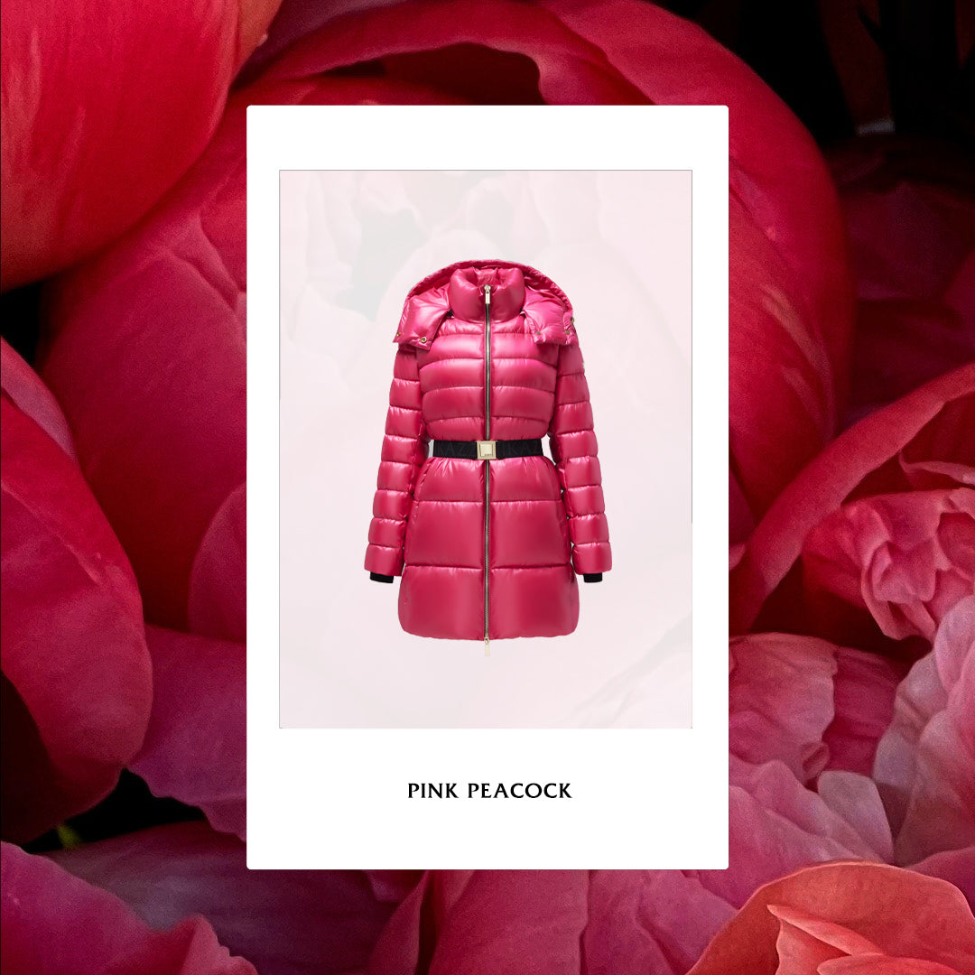 Future of Winter Fashion: IKAZZ's Ethical Belted Puffer Coat Collection